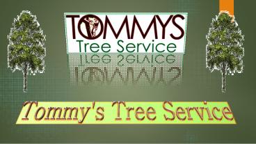 Ways to Remove a Tree