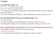 III.2a) dimensione mariana