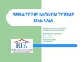 STRATEGIE MOYEN TERME DES CGA PowerPoint PPT Presentation