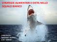 STRATEGIE ALIMENTARI E DIETA NELLO SQUALO BIANCO PowerPoint PPT Presentation