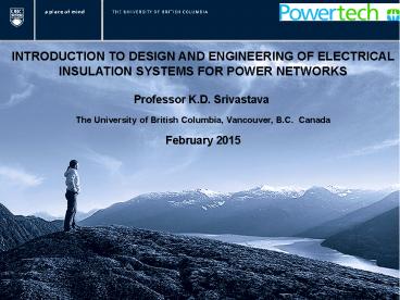 Impact of Fast-Front Overvoltage Transients on Electrical Oil-Paper Insulation Systems