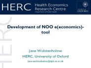 Development of NOO e(economics)-tool