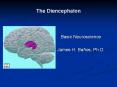 The%20Diencephalon PowerPoint PPT Presentation