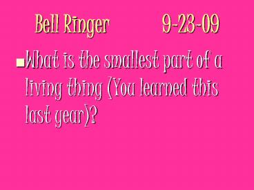 Bell Ringer9-23-09