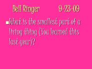 Bell Ringer9-23-09