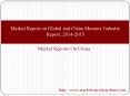 Market Report on Global and China Memory Industry Report, 2014-2015 PowerPoint PPT Presentation