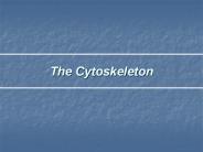 The%20Cytoskeleton