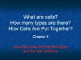 What are cells? How many types are there? How Cells Are Put Together? PowerPoint PPT Presentation