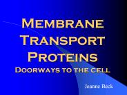 Membrane Transport Proteins Doorways to the cell