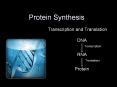 Protein Synthesis PowerPoint PPT Presentation