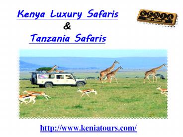 Kenya Luxury Safaris
