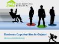 Business Opportunities In Gujarat PowerPoint PPT Presentation