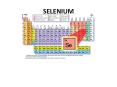 SELENIUM PowerPoint PPT Presentation