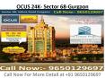 OCUS 24K- Sector 68-Gurgaon-9650129697 PowerPoint PPT Presentation
