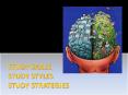 STUDY SKILLS STUDY STYLES STUDY STRATEGIES PowerPoint PPT Presentation