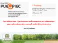 Specializzazione e performance nel commercio agroalimentare: PowerPoint PPT Presentation