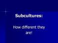 Subcultures: PowerPoint PPT Presentation