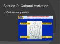 Section 2: Cultural Variation PowerPoint PPT Presentation
