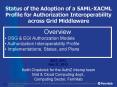 Status of the Adoption of a SAML-XACML Profile for Authorization Interoperability across Grid Middleware PowerPoint PPT Presentation