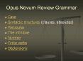 Opus Novum Review Grammar PowerPoint PPT Presentation