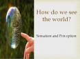 How do we see the world? PowerPoint PPT Presentation