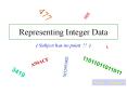 Representing Integer Data PowerPoint PPT Presentation