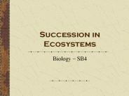 Succession%20in%20Ecosystems