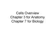 Cells Overview Chapter 3 for Anatomy Chapter 7 for Biology PowerPoint PPT Presentation