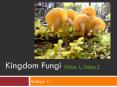 Kingdom Fungi Video 1, Video 2 PowerPoint PPT Presentation