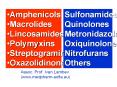 Amphenicols PowerPoint PPT Presentation