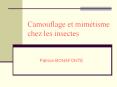 Camouflage et mim PowerPoint PPT Presentation