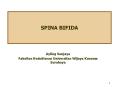 SPINA BIFIDA PowerPoint PPT Presentation