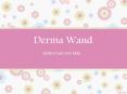 Derma Wand PowerPoint PPT Presentation