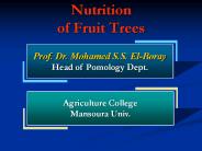 Nutrition%20of%20Fruit%20Trees