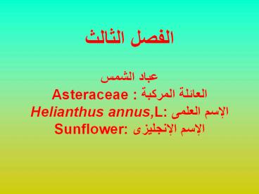 ????? ??????  ???? ????? ??????? ??????? : Asteraceae ????? ?????? :Helianthus annus,L ????? ????????? :Sunflower