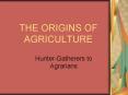 THE ORIGINS OF AGRICULTURE PowerPoint PPT Presentation