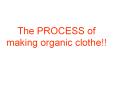 The PROCESS of making organic clothe!! PowerPoint PPT Presentation