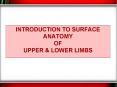 Introduction to Surface Anatomy of upper PowerPoint PPT Presentation