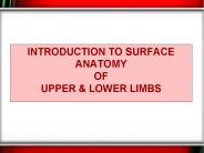 Introduction to Surface Anatomy of upper