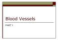 Blood Vessels PowerPoint PPT Presentation