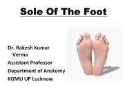 Sole Of The Foot