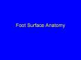 Foot Surface Anatomy PowerPoint PPT Presentation