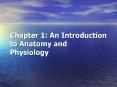 Chapter 1: An Introduction to Anatomy and Physiology PowerPoint PPT Presentation