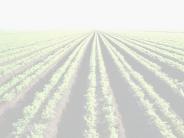 Colorado Ag. Science Curriculum
