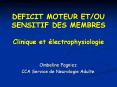 DEFICIT MOTEUR ET/OU SENSITIF DES MEMBRES Clinique et  PowerPoint PPT Presentation