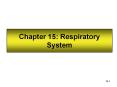 Chapter 15: Respiratory System PowerPoint PPT Presentation