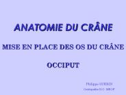 ANATOMIE DU CR
