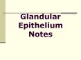 Glandular Epithelium Notes PowerPoint PPT Presentation