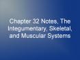 Chapter 32 Notes, The Integumentary, Skeletal, and Muscular Systems PowerPoint PPT Presentation