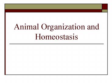 Animal Organization and Homeostasis